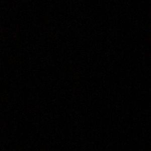 Meet your Posher, Elliot